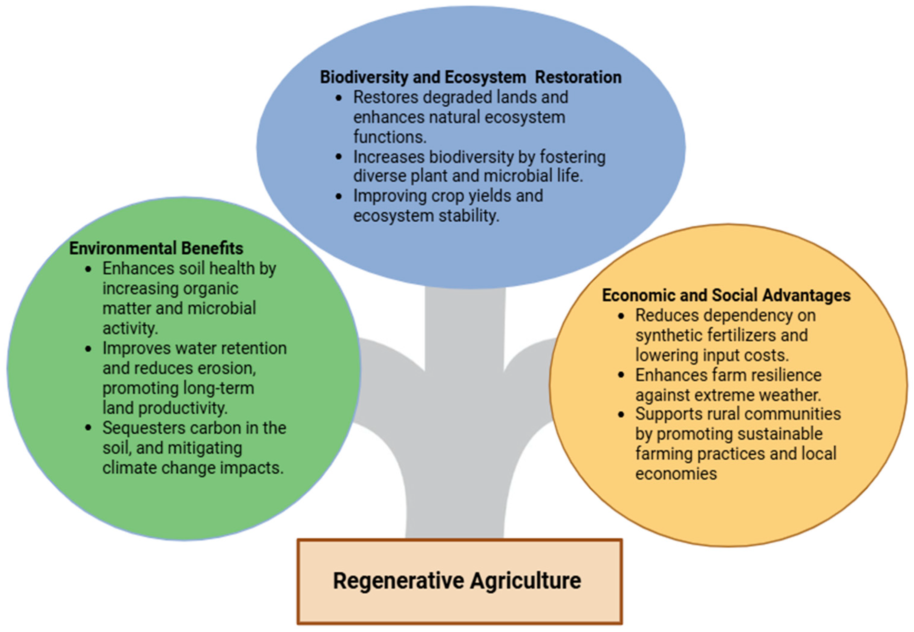 Regenerative Agraculture Common Practices